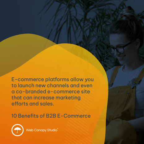 E-commerce platforms allow you to launch new channels and even a co-branded e-commerce site that can increase marketing efforts and sales.