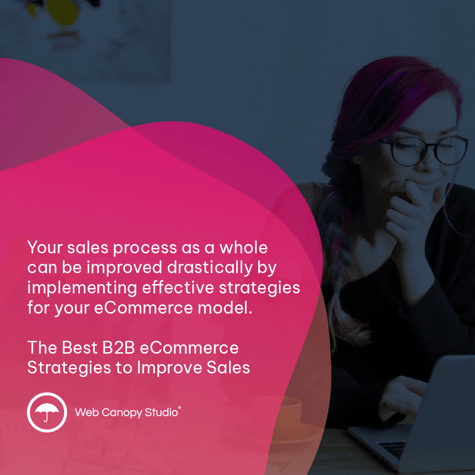 Your sales process as a whole can be improved drastically by implementing effective strategies for your eCommerce model.  The Best B2B eCommerce Strategies to Improve Sales